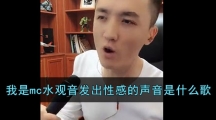 我是mc水观音发出性感的声音是什么歌