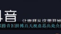 《抖音》拼搏百天梗意思出处介绍