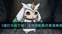 《提灯与地下城》宠物搭配最好最强推荐