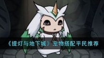 《提灯与地下城》宠物搭配平民推荐