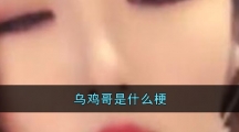 乌鸡哥是什么梗
