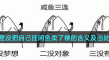 就差没把自己挂闲鱼卖了梗的含义及出处介绍