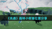 《光遇》雨林小树苗位置分享