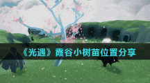 《光遇》霞谷小树苗位置分享