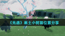 《光遇》墓土小树苗位置分享