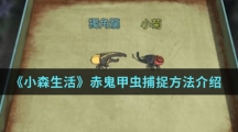 《小森生活》赤鬼甲虫捕捉方法介绍