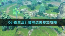 《小森生活》猫咪选美参加攻略介绍