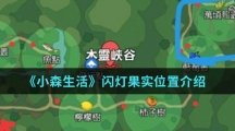 《小森生活》闪灯果实位置介绍