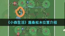 《小森生活》露桑松木位置介绍
