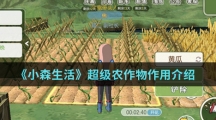 《小森生活》超级农作物作用介绍