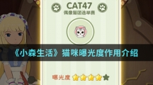 《小森生活》猫咪曝光度作用介绍