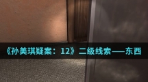 《孙美琪疑案：12》二级线索——东西