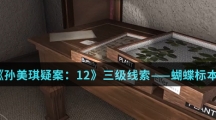《孙美琪疑案：12》三级线索——蝴蝶标本