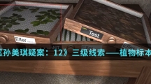 《孙美琪疑案：12》三级线索——植物标本