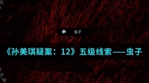 《孙美琪疑案：12》五级线索——虫子