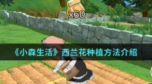 《小森生活》西兰花种植方法介绍
