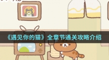 《遇见你的猫》全章节通关攻略介绍