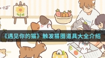 《遇见你的猫》触发猫圈道具大全介绍