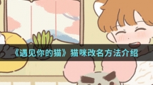 《遇见你的猫》猫咪及玩家改名方法介绍