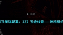 《孙美琪疑案：12》五级线索——神秘组织
