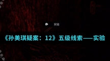 《孙美琪疑案：12》五级线索——实验