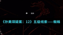 《孙美琪疑案：12》五级线索——蜘蛛