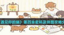 《遇见你的猫》第四章密码及拼图攻略分享