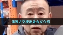 潘嘎之交梗出处含义介绍
