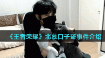 《王者荣耀》北慕口子哥事件介绍