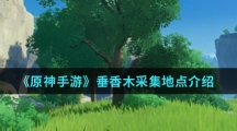 《原神手游》垂香木采集地点介绍