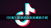 《抖音》迷路的小灰灰梗的介绍