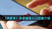 《拼多多》多多钱包入口位置介绍