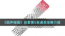 《回声探路》白章第5关通关攻略介绍