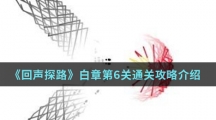 《回声探路》白章第6关通关攻略介绍