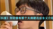 《抖音》你好像有那个大病梗出处含义介绍