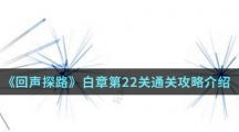 《回声探路》白章第22关通关攻略介绍