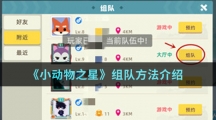 《小动物之星》组队方法介绍