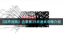 《回声探路》白章第29关通关攻略介绍