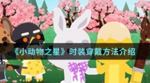 《小动物之星》时装穿戴方法介绍