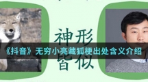 《抖音》无穷小亮藏狐梗出处含义介绍