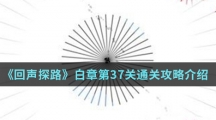 《回声探路》白章第37关通关攻略介绍