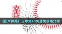 《回声探路》白章第40关通关攻略介绍