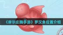 《摩尔庄园手游》罗汉鱼位置介绍