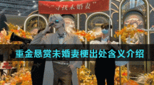 重金悬赏未婚妻梗出处含义介绍