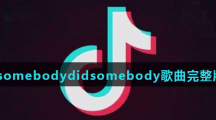 《抖音》Didsomebodydidsomebody歌曲完整版介绍