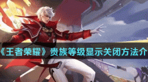 《王者荣耀》贵族等级显示关闭方法介绍