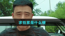 求怕累是什么梗