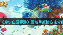 《摩尔庄园手游》雪绒草抓捕方法介绍
