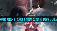 《灵魂潮汐》2021最新公测礼包码cdk分享
