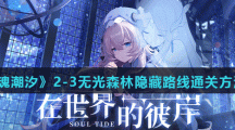 《灵魂潮汐》2-3无光森林隐藏路线通关方法分享